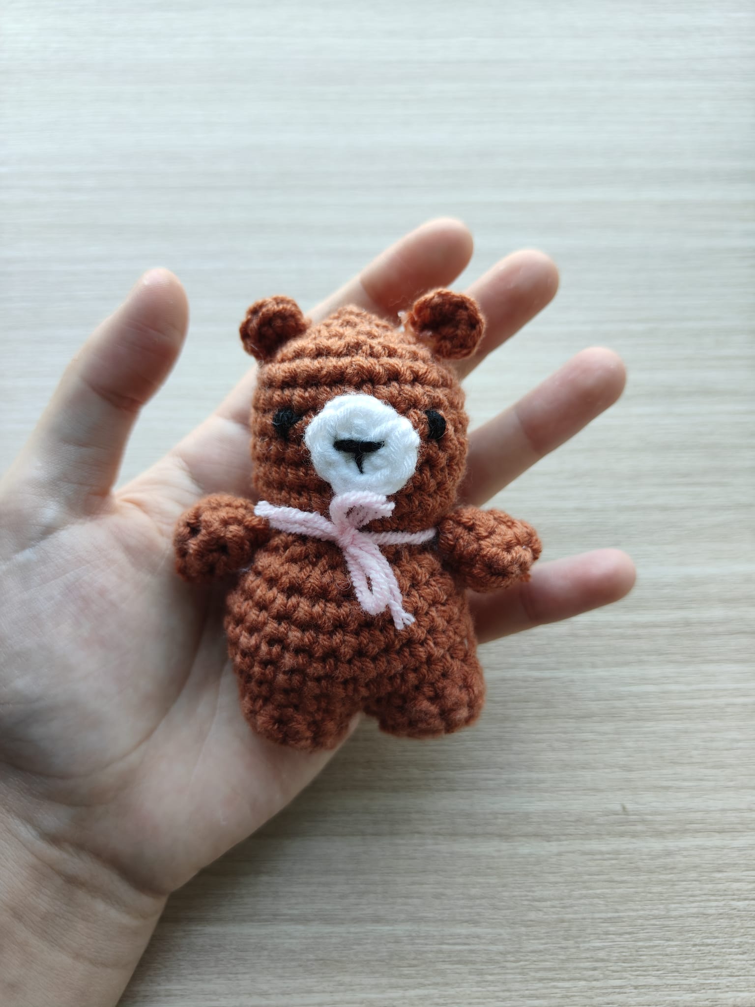 Bear Plushie 🧸