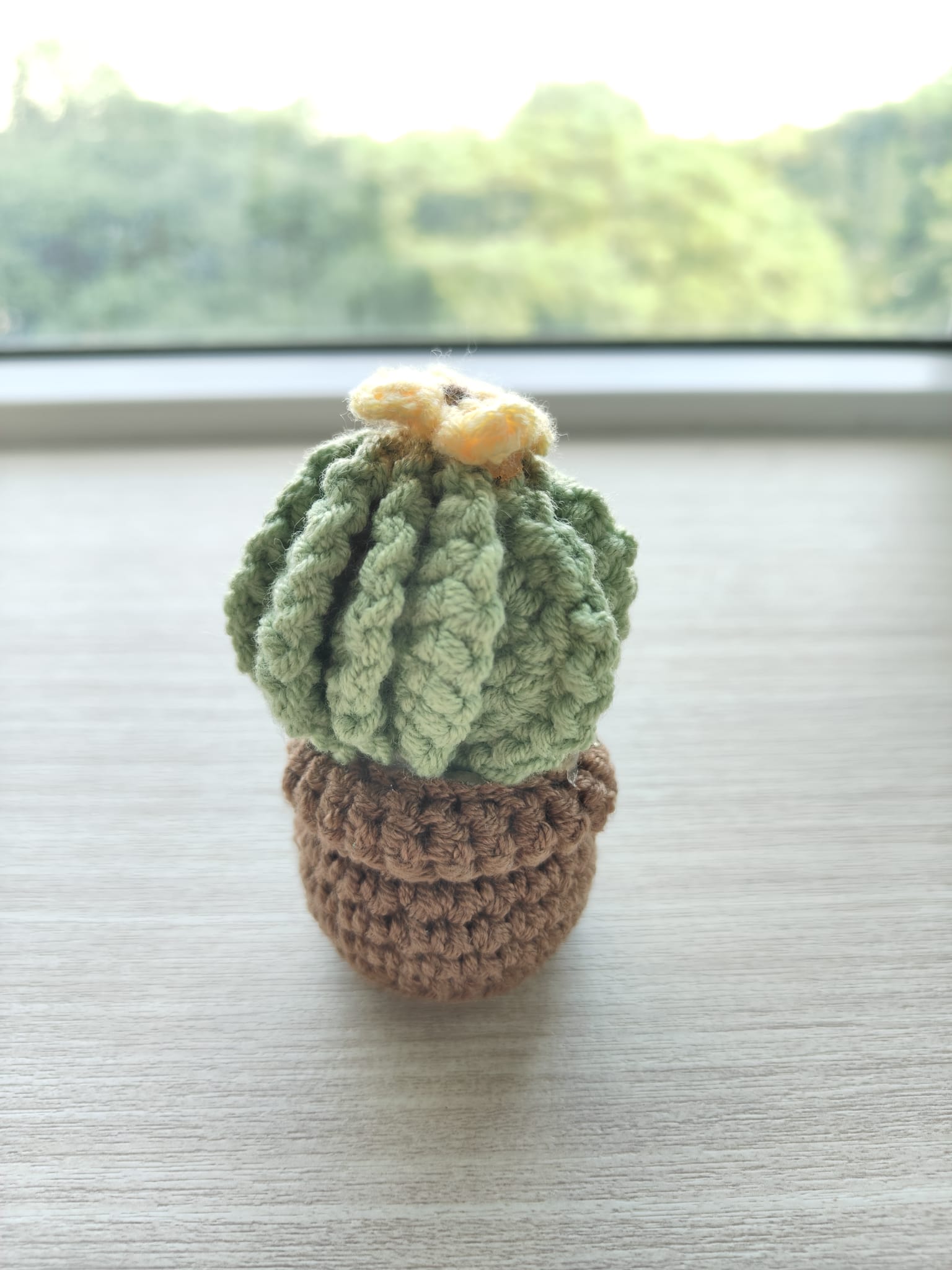Cactus 🌵
